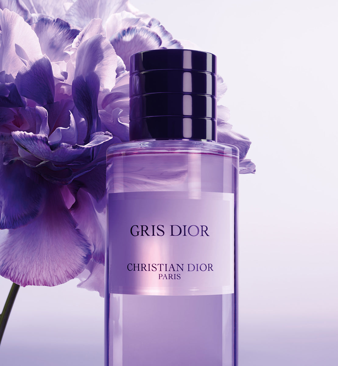 Gris montaigne online fragrantica